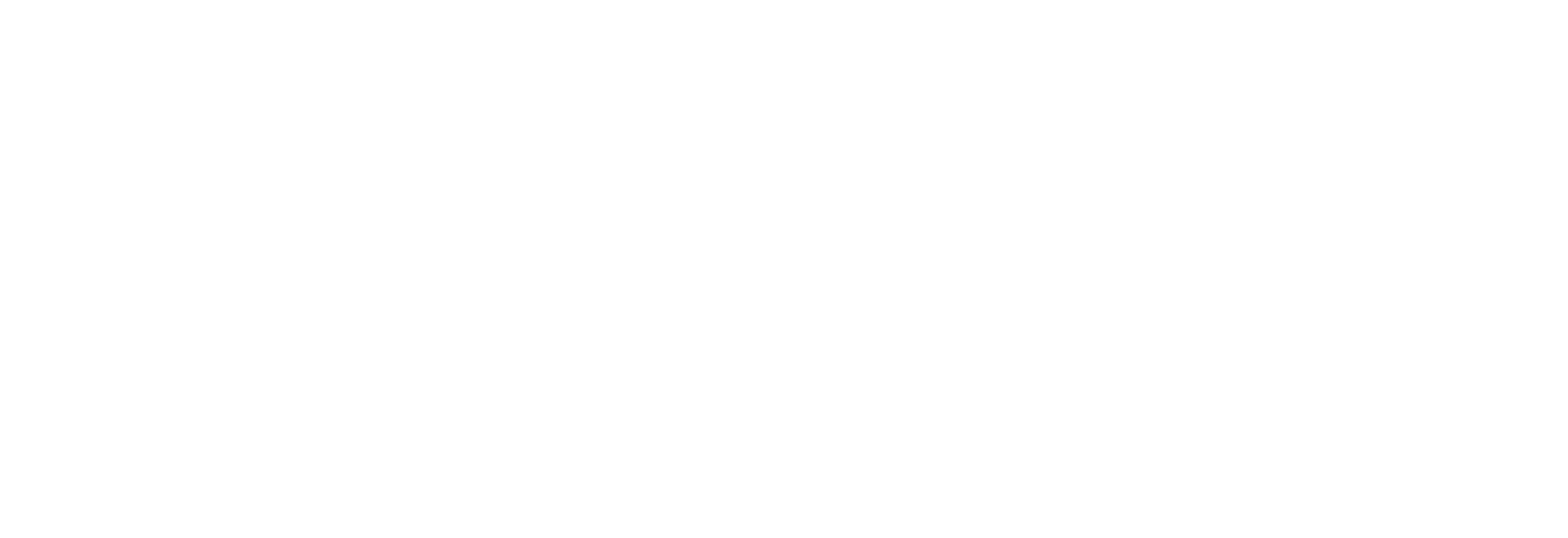 NinfoX